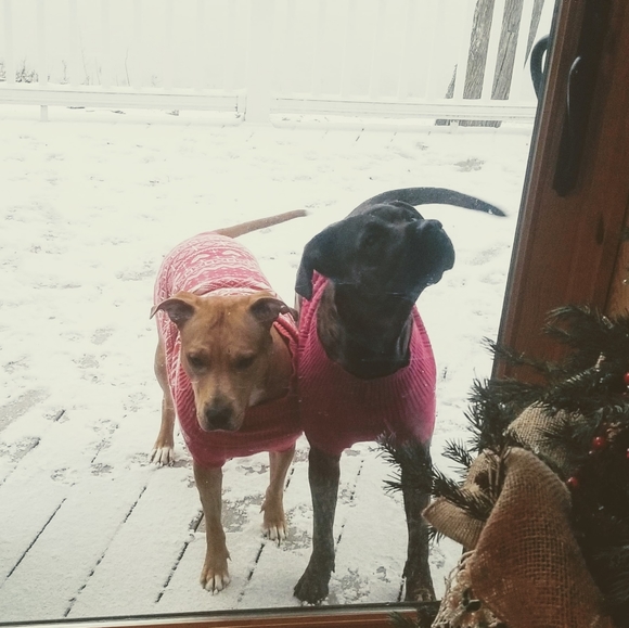 Meet your Posher, Nicole - Picture 4 of 13